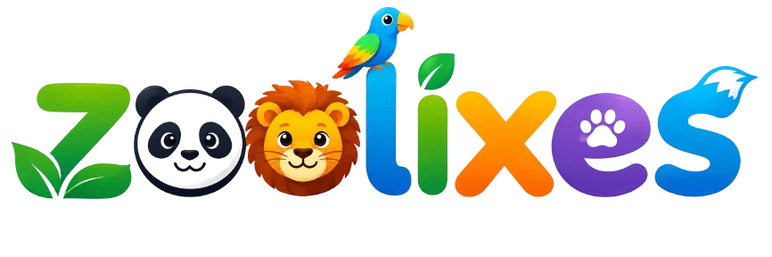 logo for the website zoolixes
